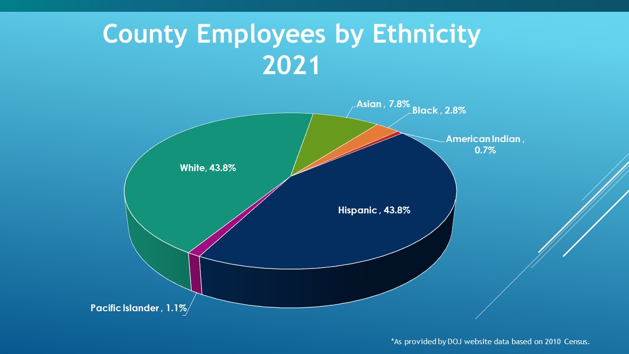 County Employees by Ethnicity 2021