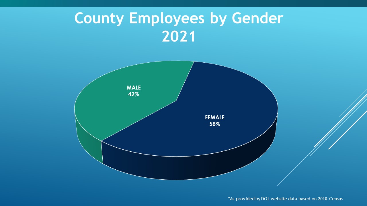 County Employees by Gender 2021